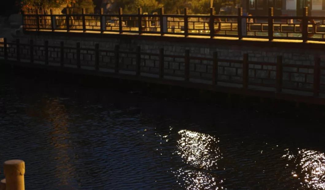 济南大明湖与夏雨荷的邂逅_反馈记录和整理