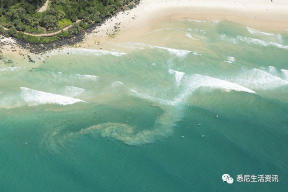 澳洲海滩神秘死亡事件探秘_动态词语解释