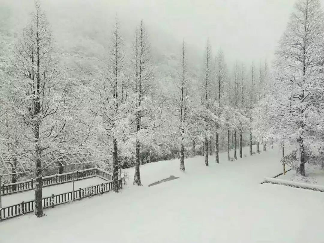 长沙下雪了_词语解释