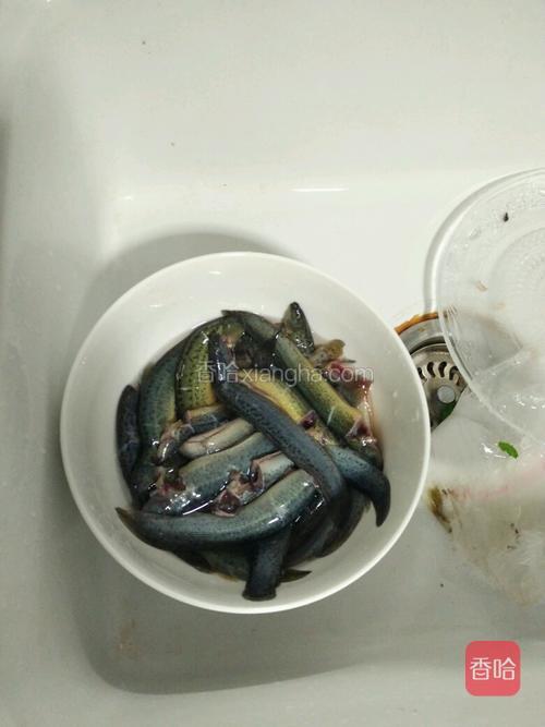 泥鰍魚食處理，關鍵步驟與有效方法_最佳精選解釋落實