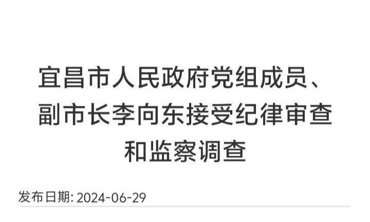 湖北宜昌原副市长李向东严重违纪违法被开除党籍和公职_反馈评审和审查