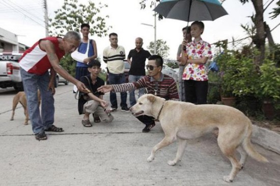 西安通报男童被恶犬咬伤事件，2人被刑拘，涉事人员受到严厉惩处_全面解释落实