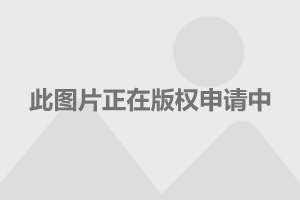 袁立近况图，窥探女演员的真实生活与事业轨迹_效率解答解释落实