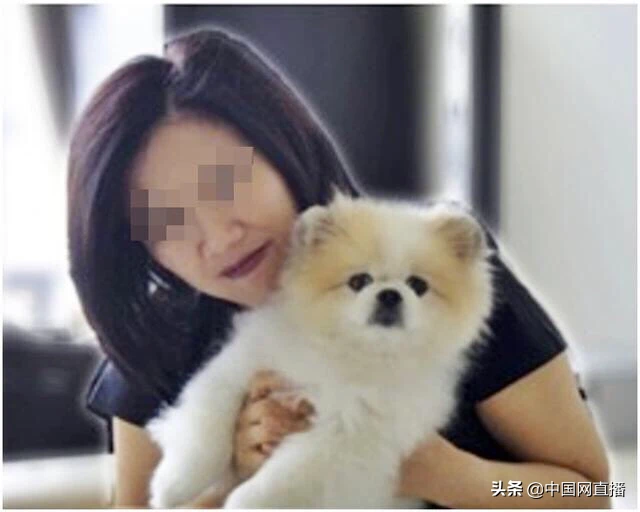 田园犬之伴，网红博主吴霜的生命与忠诚_方案细化和落实