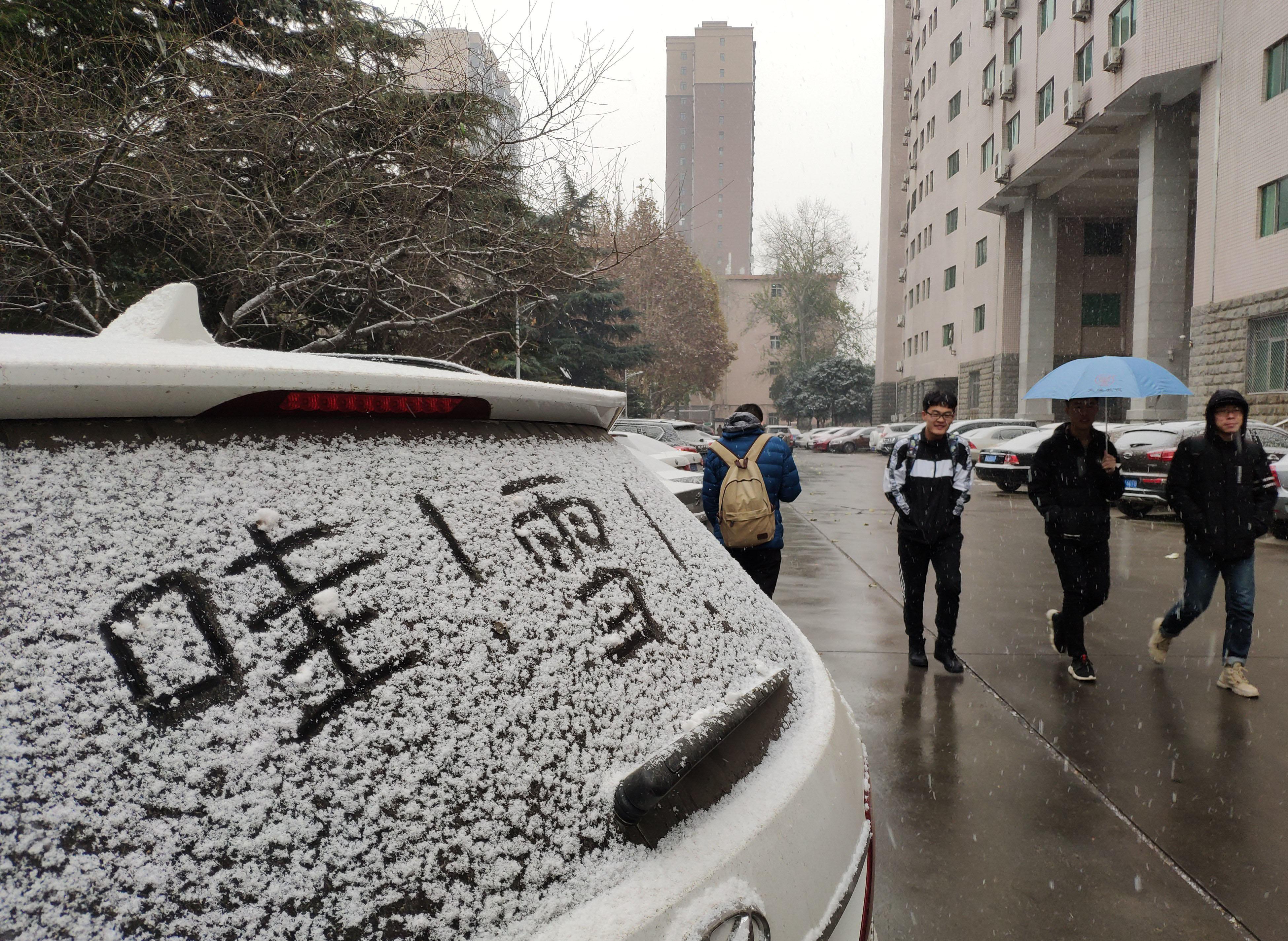 甲型流感H1N1，全面解析與應對策略_動態詞語解釋落實