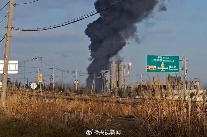 韩起火客机疑撞鸟事件揭秘