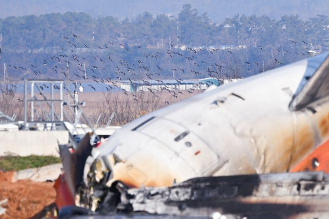 中國飛機失事事件揭秘，韓國遭遇的航空悲劇與反思（2021年）