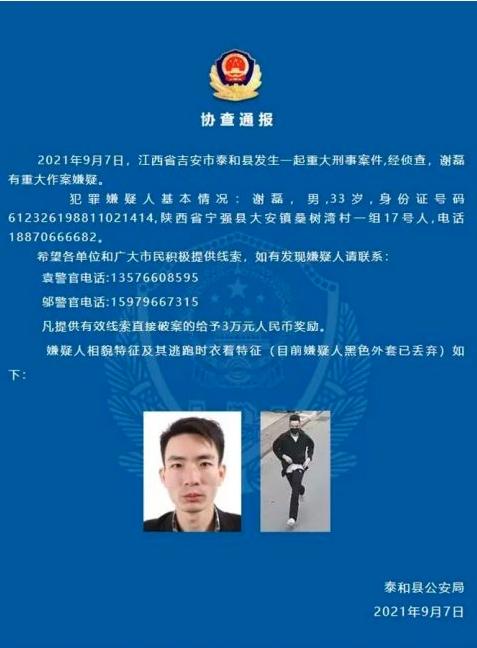 行李箱藏尸案件始末，揭示真相與深思社會課題