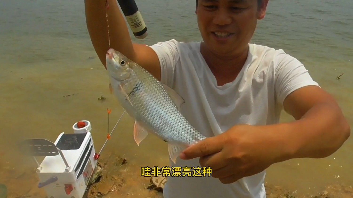 野钓鲮鱼视频大全集，钓鱼高手的实战指南