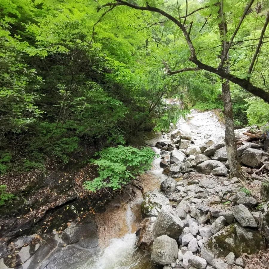 穿越秦岭太白山，一条令人心驰神往的路线