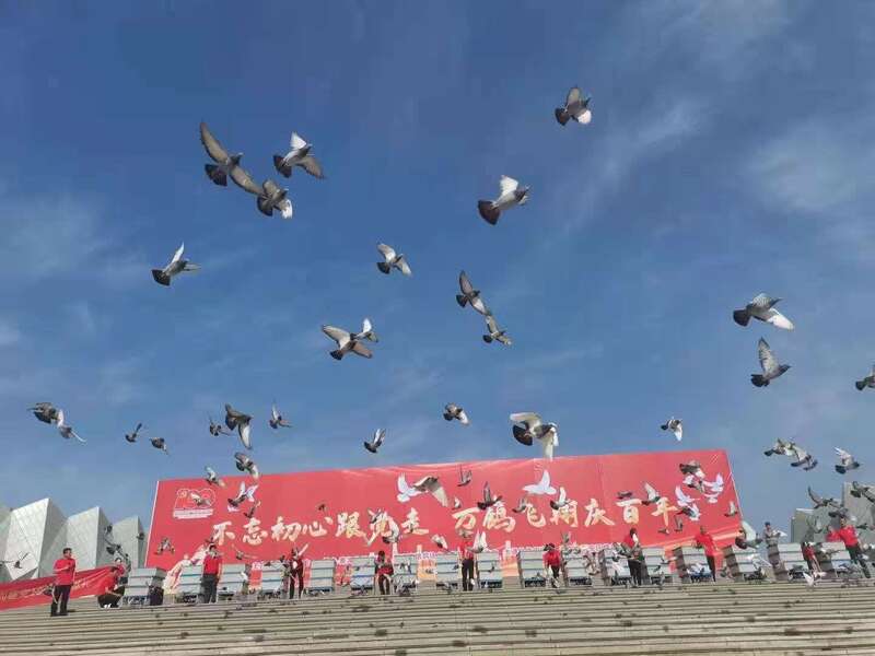 天安门放飞和平鸽，万鸽齐飞绘就盛世画卷