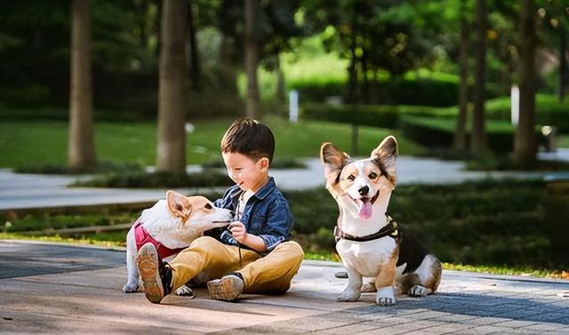 狗狗合照時起立牽起小主人，人與犬之間的深厚情感紐帶