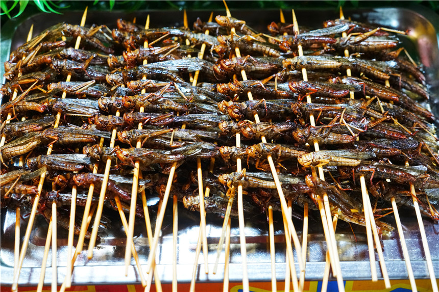 西双版纳吃蜘蛛，独特的生态与美食体验