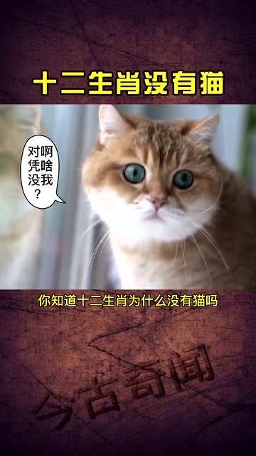 十二生肖图有猫无蛇，一种文化符号的解读与探讨