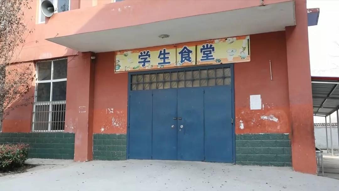 学校多学生呕吐腹泻事件，探究原因与应对措施