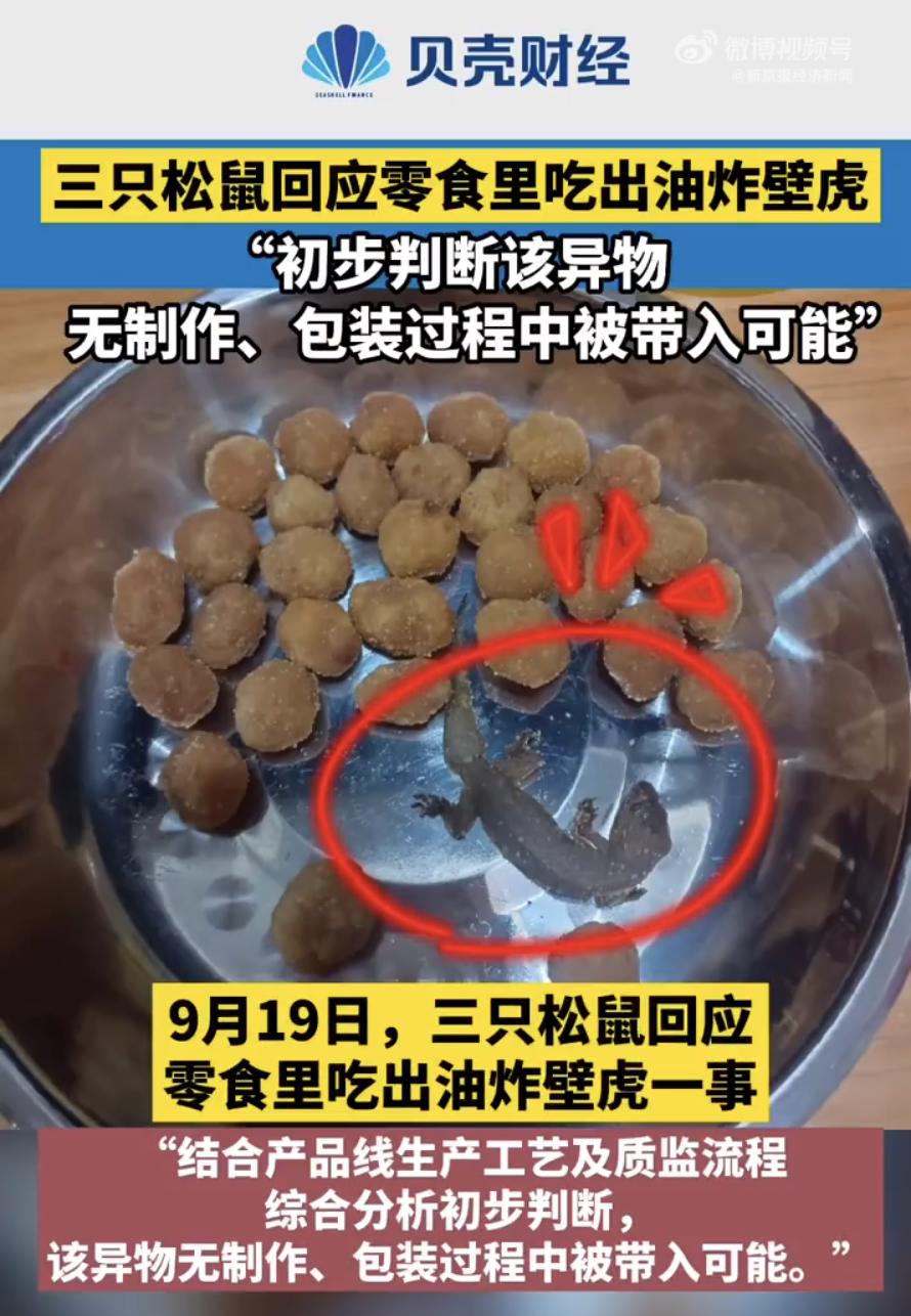 网购零食惊现油炸壁虎，消费者安全何去何从？