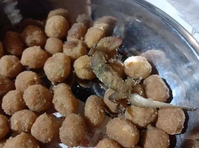 网购零食惊现油炸壁虎，消费者安全何去何从？