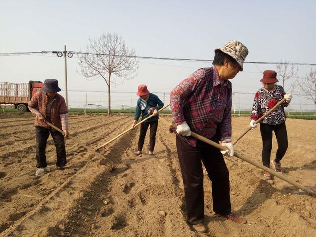 花9000萬潤英國，卻成韭菜的命運轉折