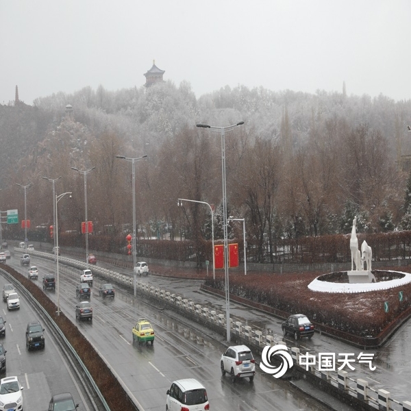 新疆雪后現(xiàn)大地之樹(shù)，壯麗景象展現(xiàn)自然魅力