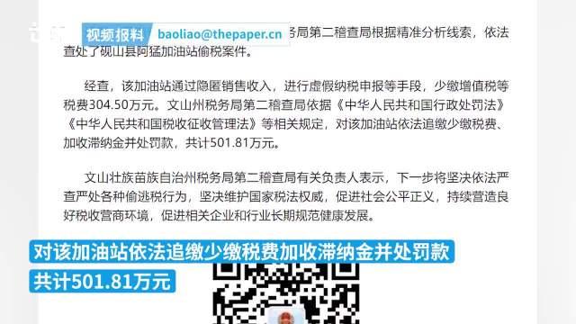 央视曝出加油站涉案逃税达7.9亿元事件，揭示行业乱象与呼唤法治监管