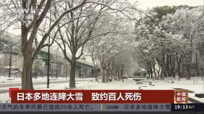 日本多地连降大雪，影响与应对之道