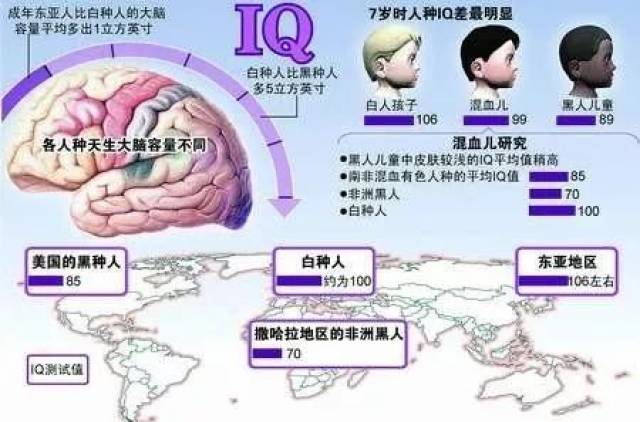 俄媒报道，中国人平均智商全球第一——探寻智慧之源