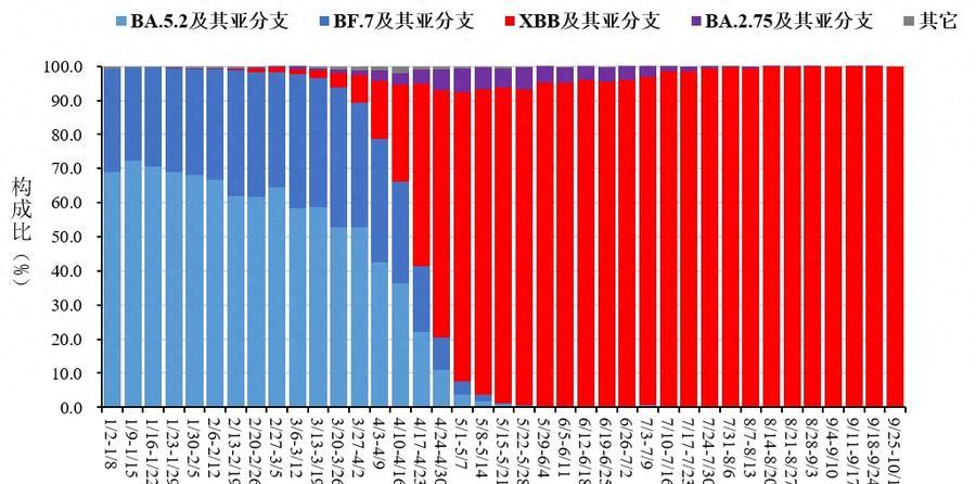 甲流之痛，深度解析感染甲流为何如此疼痛