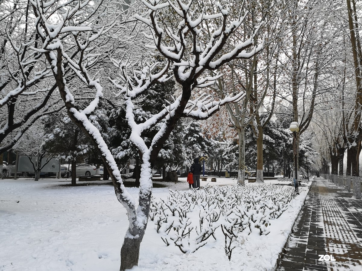 瑞雪兆丰年——记2020年北京的第一场雪