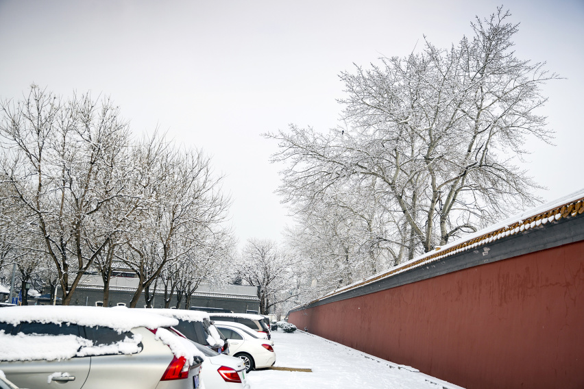 瑞雪兆丰年——记2020年北京的第一场雪