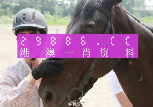 惊爆！澳门‘一肖一码一必中’内部报告解密，同舟前进背后的77.98%真相揭露！