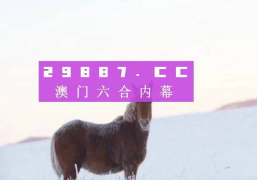 4949澳门免费精准大全，揭秘2D61.963背后的文化密码！沉浸式体验，带你解锁不为人知的澳门风情！