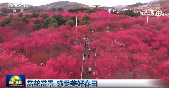 春光无限好，赏花赏景正当时！揭秘春日美景背后的秘密！