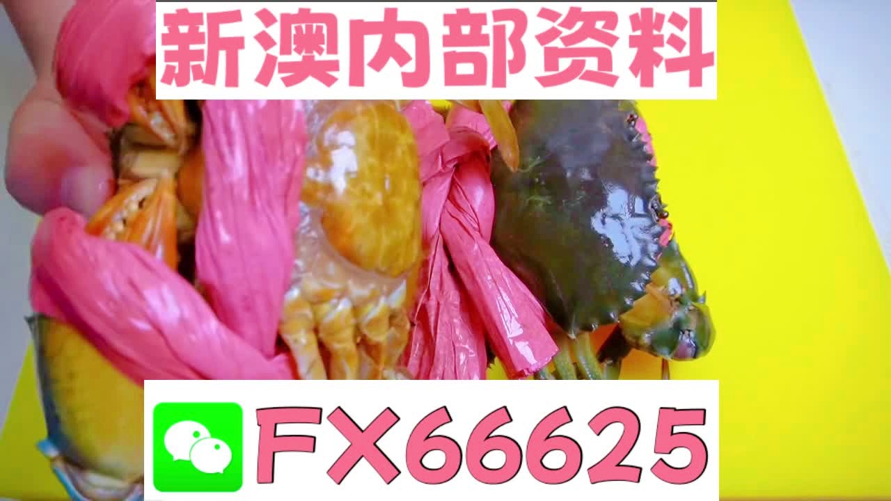 2025新澳精准资料大全曝光！VR版15.684揭秘成功企业背后的惊人秘密，你敢看吗？