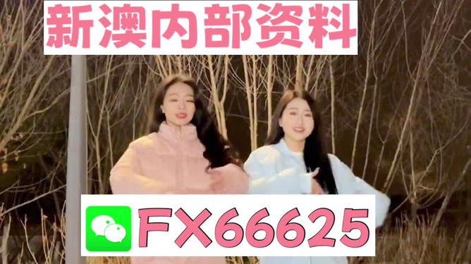 揭秘管家婆一码一肖最准资料创意版70.68三、市场巨变背后的惊人真相与应对策略！