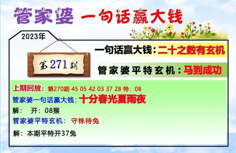 GT90.231揭秘！77778888管家婆必开一肖，反馈实施与执行力的惊人真相！