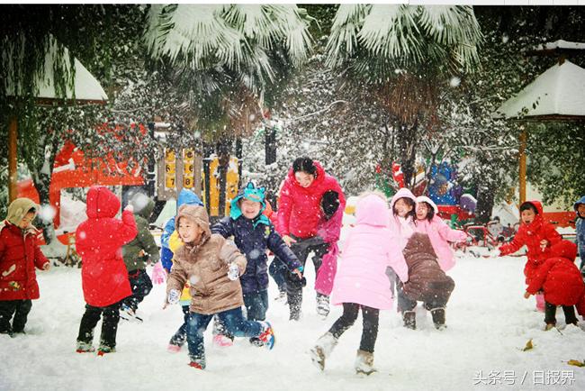 郑州下雪了，一场雪引发的期待与热议