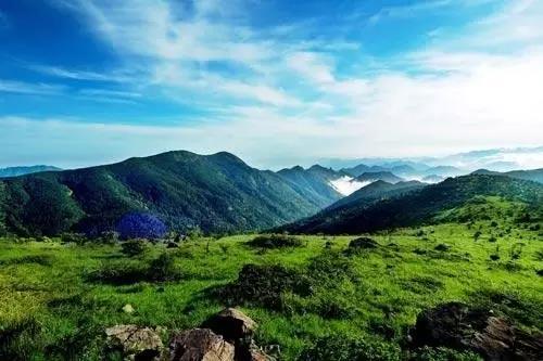 武夷山公園驚現未知新物種，生態奇跡待揭秘！