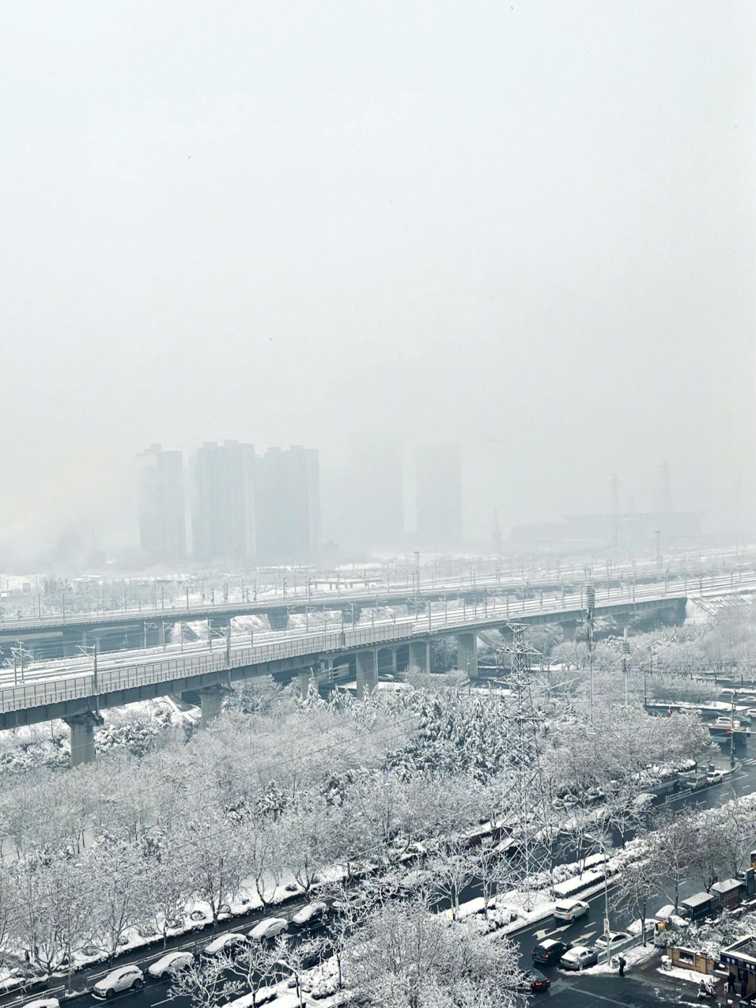 郑州下雪了，冬日雪舞背后的深度解读