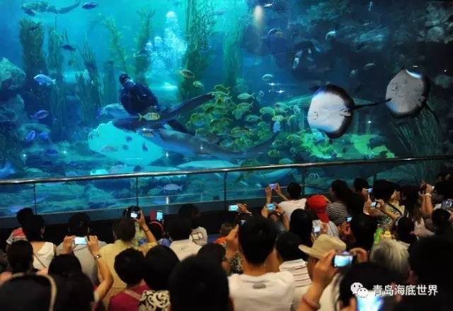 西安地铁里的梦幻水族馆，老外惊叹不止！