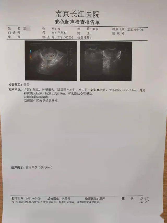 怀孕主播直播遭遇意外，设备砸落引发脑震荡，关注事件真相深度剖析