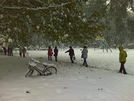 石家莊大雪來襲，如何應對？你的行動指南在這里！