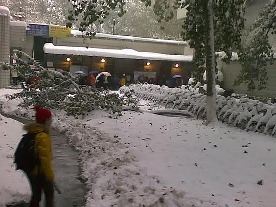 石家庄大雪来袭，如何应对？你的行动指南在这里！