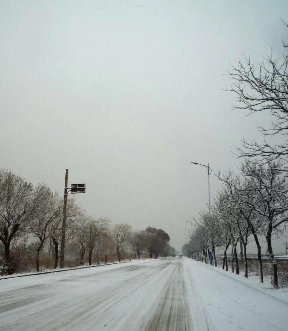 石家庄大雪来袭，如何应对？你的行动指南在这里！