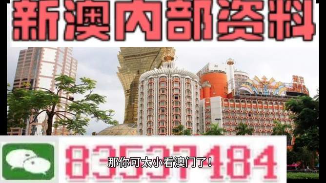 惊爆！4949澳门精准免费大全2023上线，冒险版80.168揭秘财务管理的极致玩法！