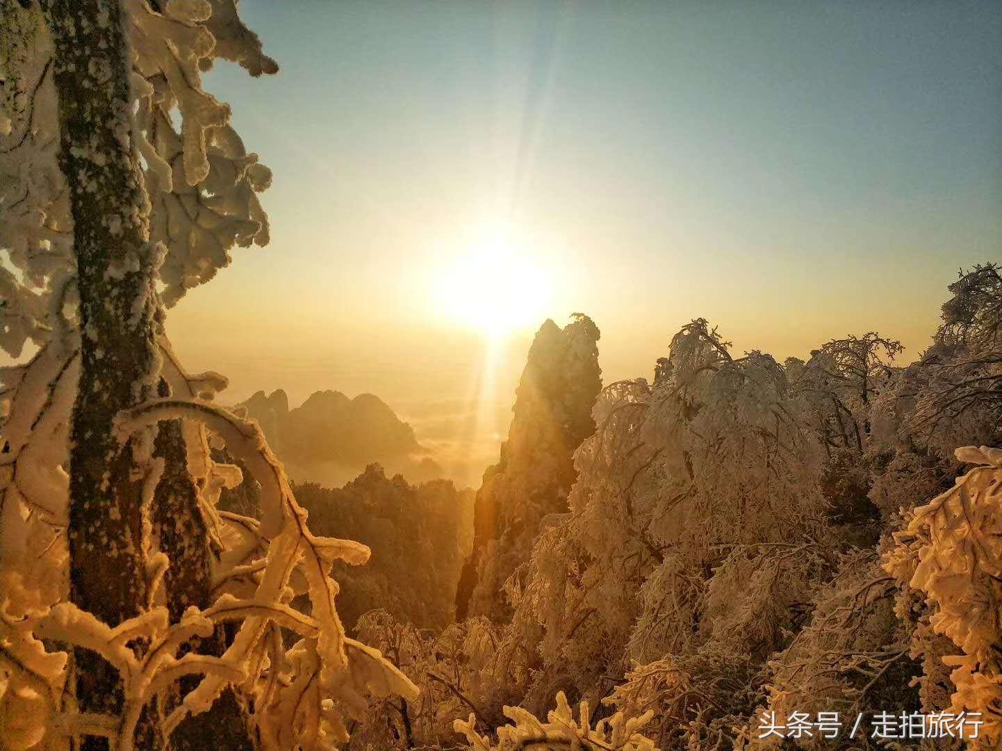 黄山雪天惊魂！游客头朝下滑落事件揭秘