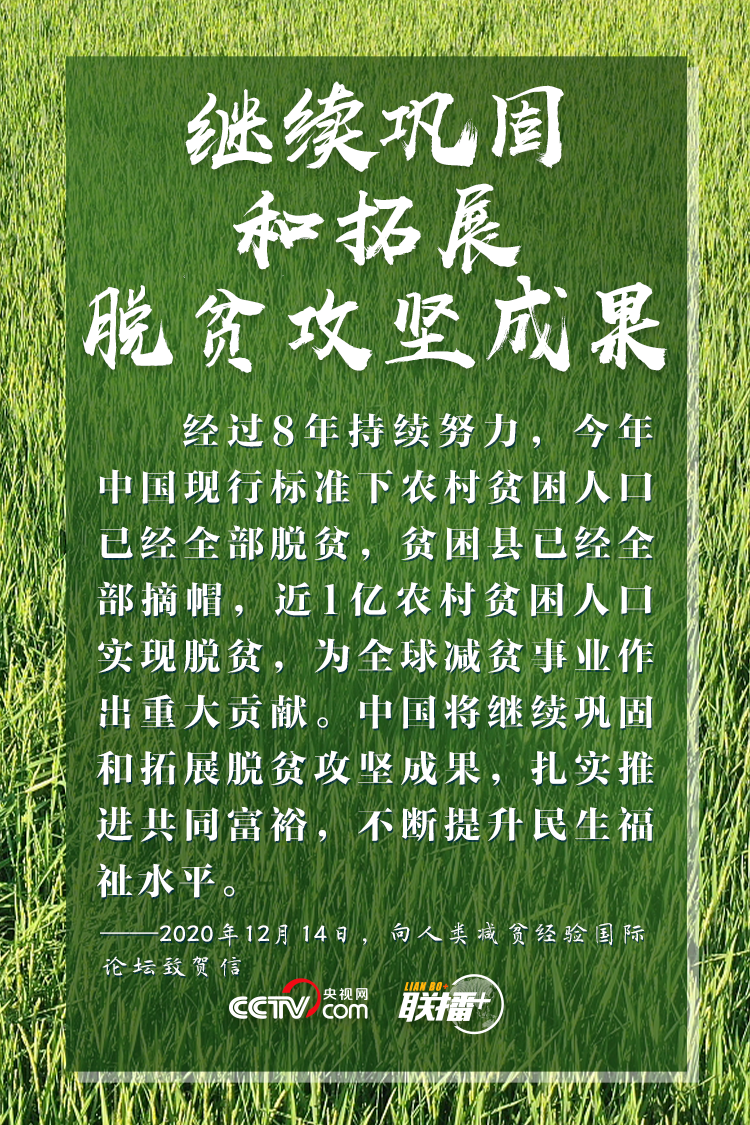 感悟總書記的三農(nóng)情懷——深情投入鄉(xiāng)村振興的溫暖力量