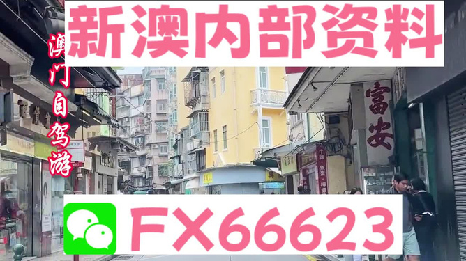 惊爆揭秘！新澳精选资料限时免费，幸运数字背后竟藏着WearOS87.435的惊人玄机！