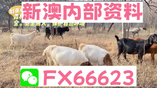 驚爆！新澳2025今晚開獎資料四不像揭露，鉆石版23.855隱藏的財富密碼與致命風險！