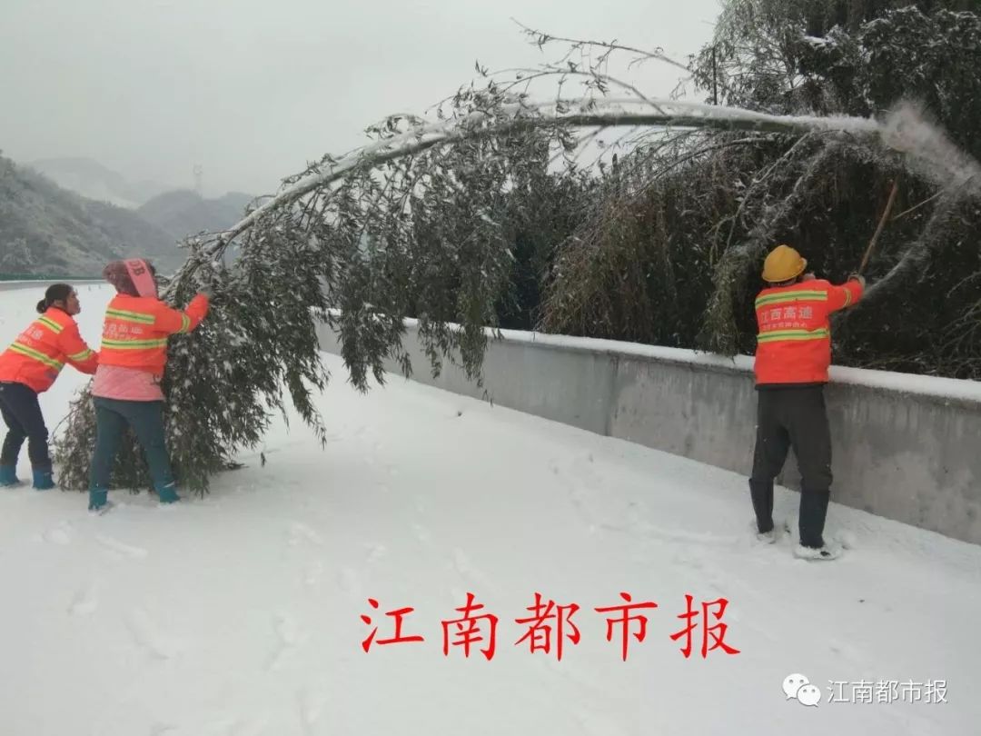 爾濱網(wǎng)紅大雪人拆除，揭秘背后的故事與決策考量