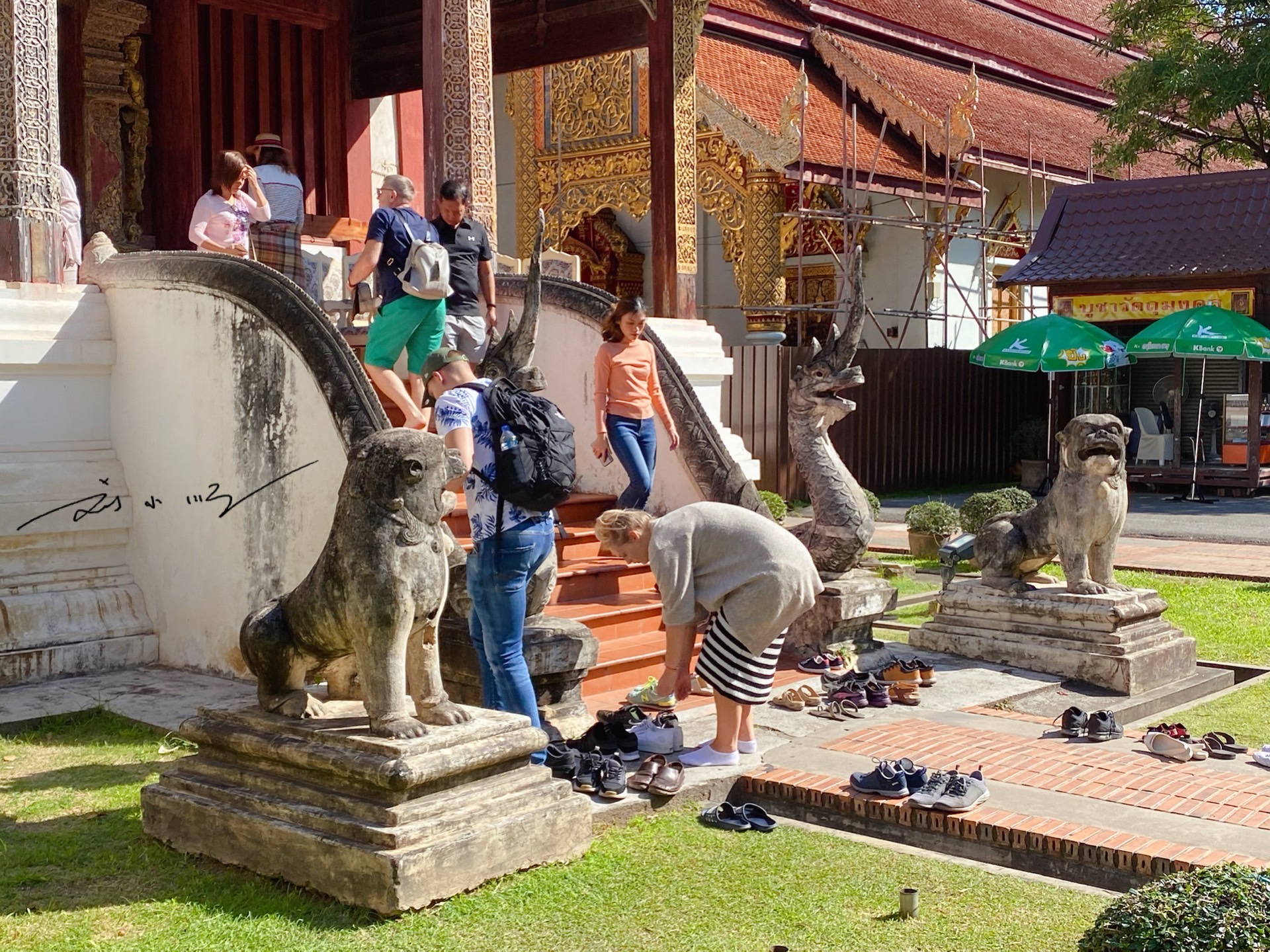 探秘寺庙神秘萌猫，游客与神猫击掌拍照狂欢指南！